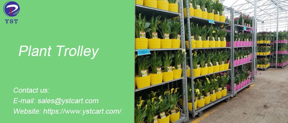 Plant Trolley-11 Plant Trolley-11