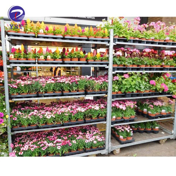 Cc Container Plant Trolley