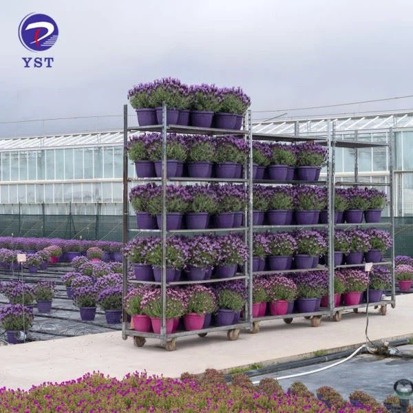 Customized Dutch Display Flower Trolley