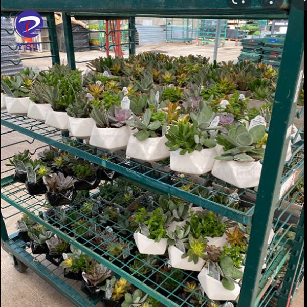 plant rolling container app