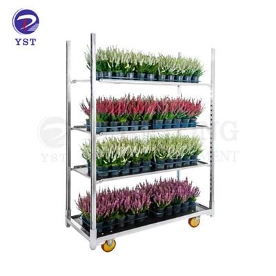 Rack Meithrinfa Troli Planhigion