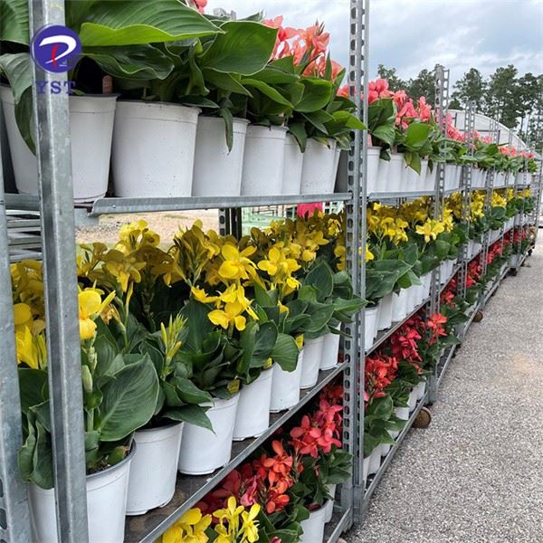 Garden Flower Cart Rack