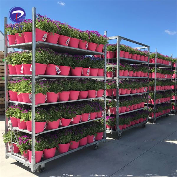 Troli Meithrinfa Aml-Silff