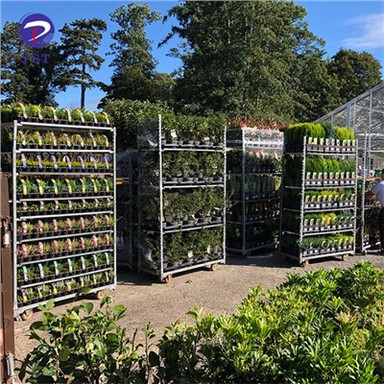 Cynhwysyddion Cludo Blodau Daneg