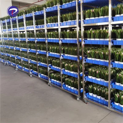 Cart Planhigion At Ddefnydd Meithrin