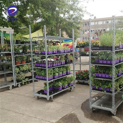 Rack Troli Planhigion
